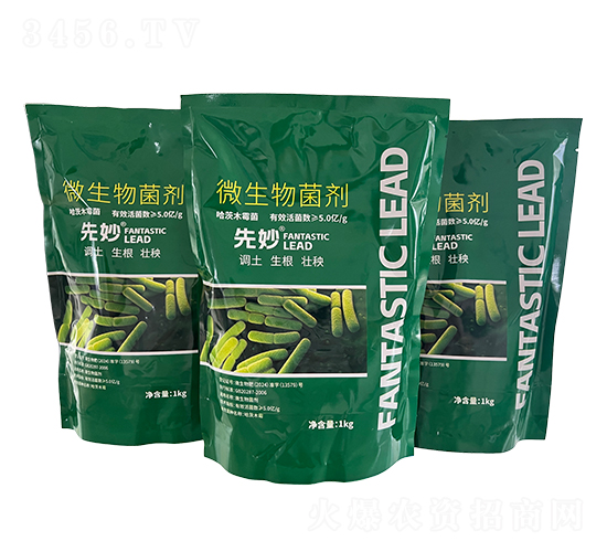 ΢�������-����-�̩