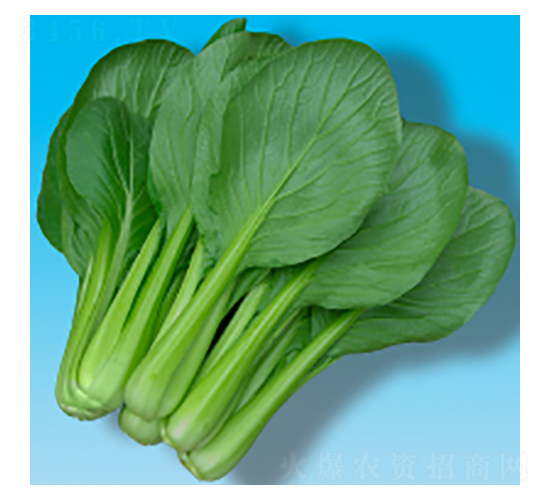 С�ɲ˷N��-����202-�A孷N�I(y��)