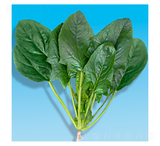 ���˷N��-孲�207-�A孷N�I(y��)