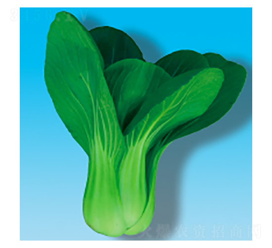 �๣�˷N��-���061-�A孷N�I(y��)