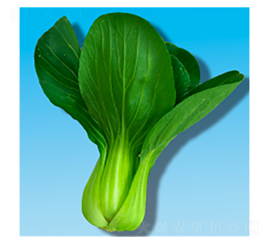 �๣�˷N��-���353-�A孷N�I(y��)