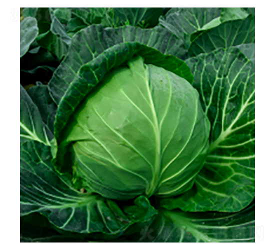 ���{(l��n)�N��-學�317-�A孷N�I(y��)