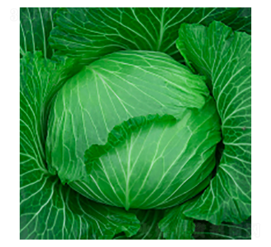 ���{�N��-學�316-�A孷N�I(y��)