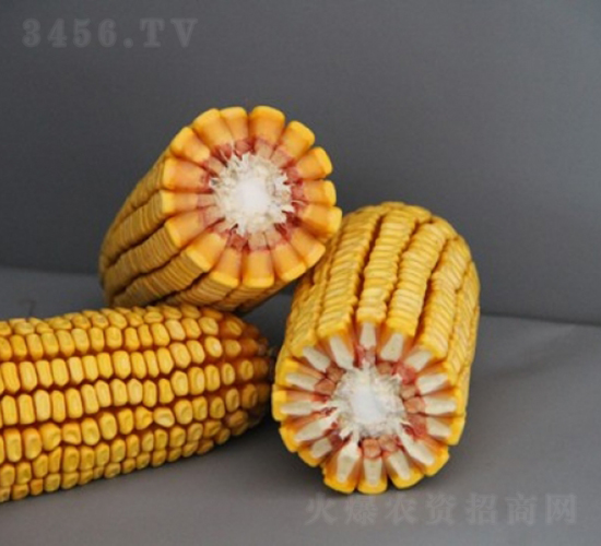 DF41-���׷N��-�Ǻ�����N�I(y��)