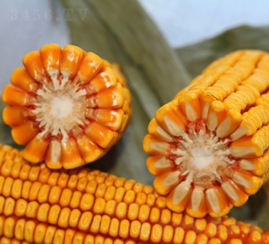 ����718-���׷N��-�Ǻ�����N�I(y��)