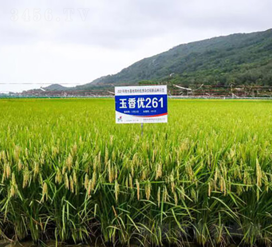 ���マ(y��u)261-ˮ���N��-�𽡷N�I(y��)