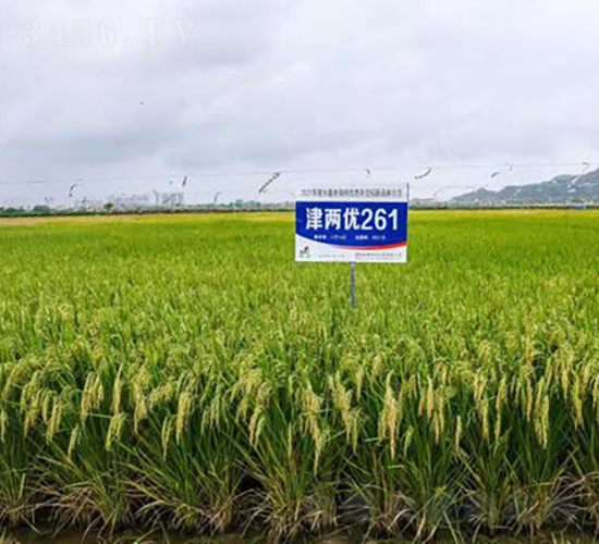 ��Ƀ�(y��u)261-ˮ���N��-�𽡷N�I(y��)