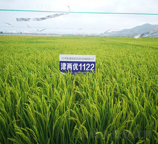 ��Ƀ�(y��u)1122-ˮ���N��-�𽡷N�I(y��)