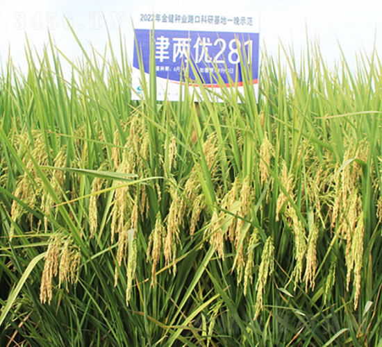 ��Ƀ�(y��u)281-ˮ���N��-�𽡷N�I(y��)