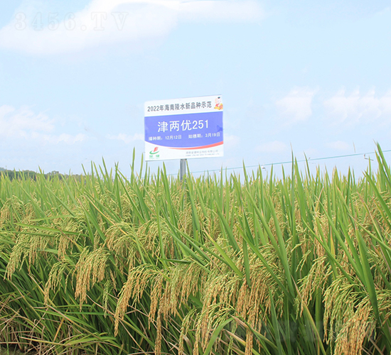 ��Ƀ�(y��u)251-ˮ���N��-�𽡷N�I(y��)