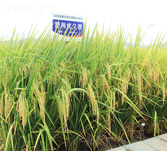 �ۃɃ�(y��u)����-ˮ���N��-�𽡷N�I(y��)