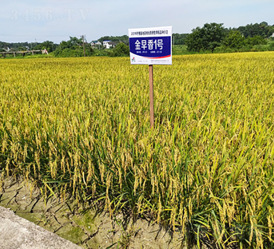 ������1̖(h��o)-ˮ���N��-�𽡷N�I(y��)