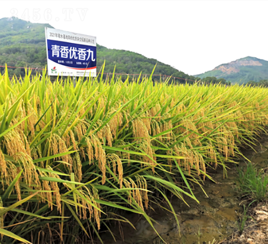 ���マ(y��u)���-ˮ���N��-�𽡷N�I(y��)