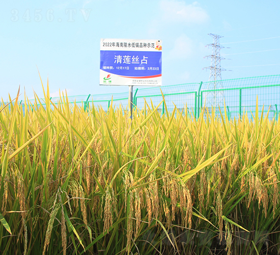 ��ɏ�zռ-ˮ���N��-�𽡷N�I(y��)