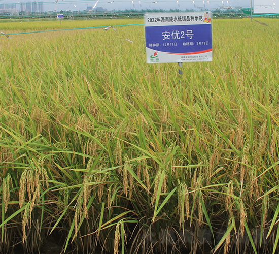 ����(y��u)2̖(h��o)-ˮ���N��-�𽡷N�I(y��)