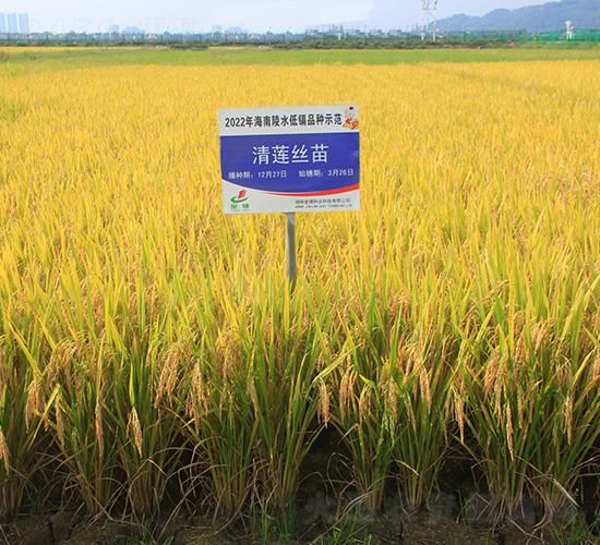 ��ɏ�z��-ˮ���N��-�𽡷N�I(y��)