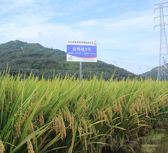 ���Ƀ�(y��u)2̖(h��o)-ˮ���N��-�𽡷N�I(y��)