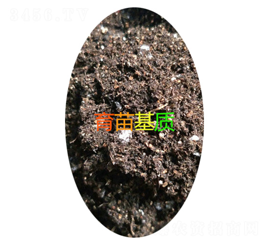 ������|(zh��)-���d����