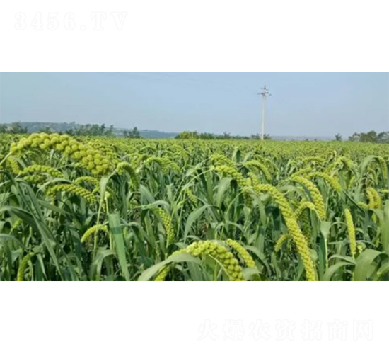 �x��21-���ӷN��-���S�N�I(y��)