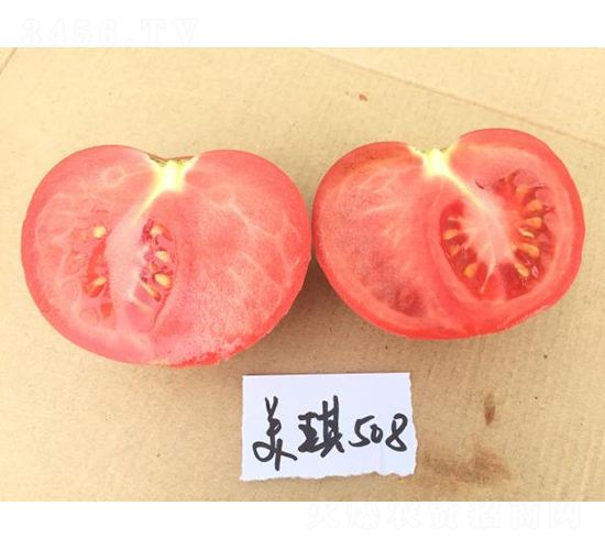 �߿�����508-���ѷN��-���S�N�I(y��)