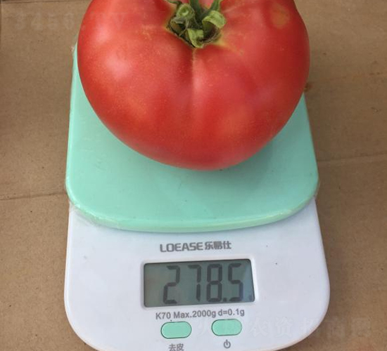 �߿�����5̖-���ѷN��-���S�N�I(y��)