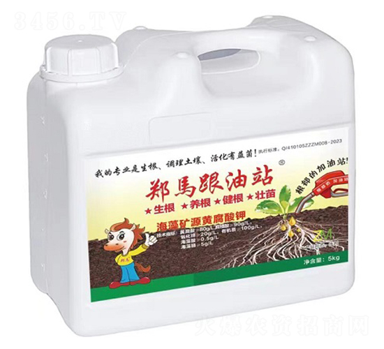 ����VԴ�S�����-����վ-ǧ���R