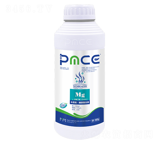 ľ�|(zh��)�ᡤ�Ǵ������V-����˹