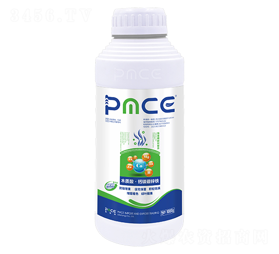 �����Ǵ��p����-ľ�|(zh��)�ᡤ�}�V���\�F-����˹