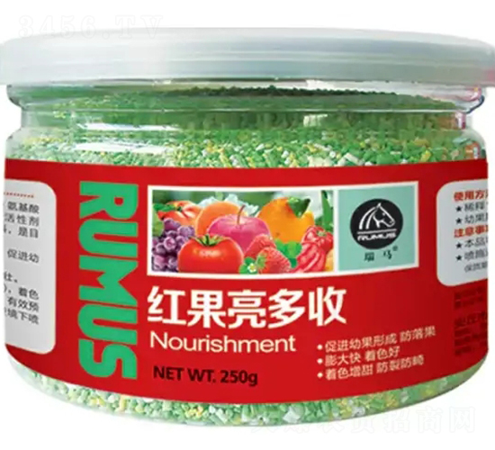 �t��������-�̶�����