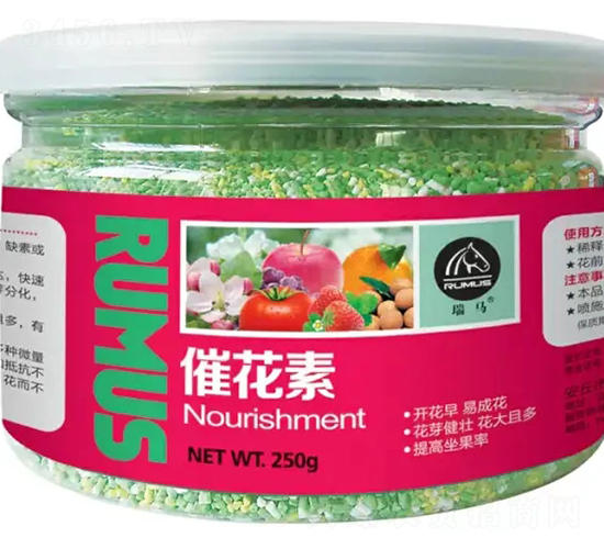 �߻���-�̶�����