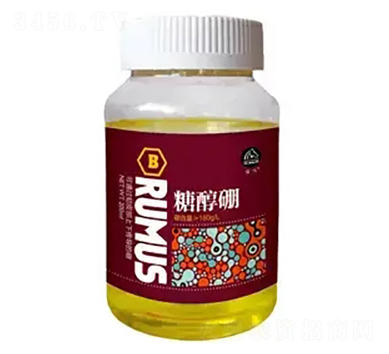 ���R�Ǵ���-�̶�����