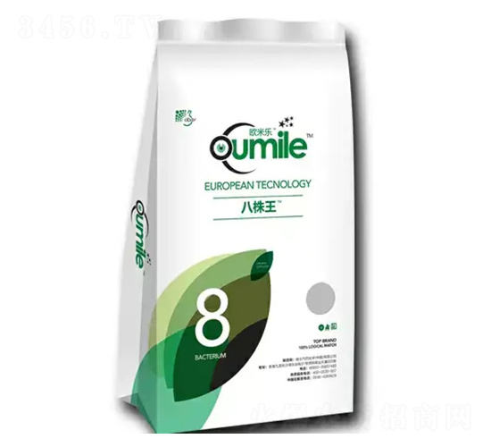 ������-�W�ט�-�̶�����