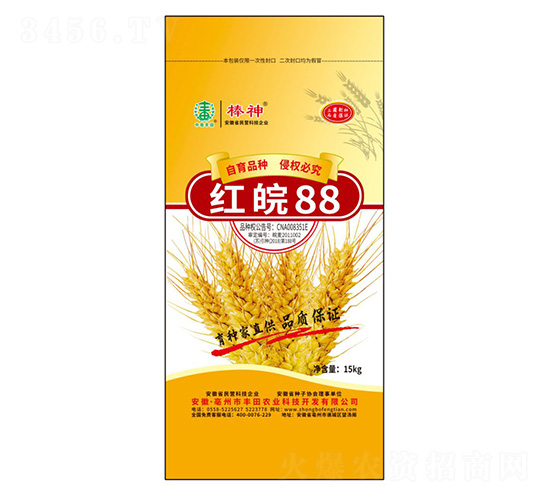 �t��88С���N��-�S���r(n��ng)�I(y��)