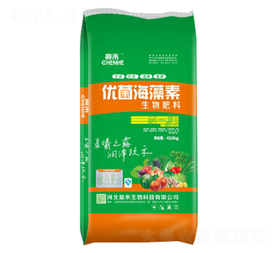 �������-��(y��u)��������-��������