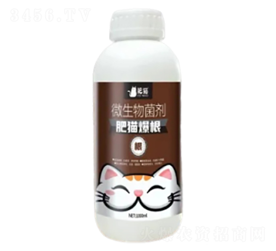 ΢�������-��؈����-��؈�r(n��ng)�I(y��)