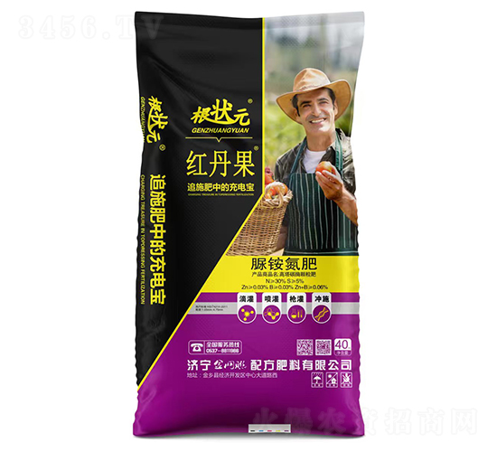 �t�������@����-����Ԫ-��W(w��ng)(li��n)