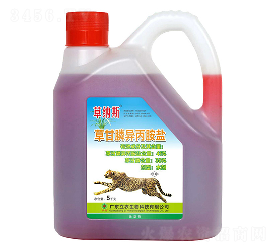 41%�ݸ�좮������}����s�ͣ�-�ݼ{˹-�V�|���r(n��ng)