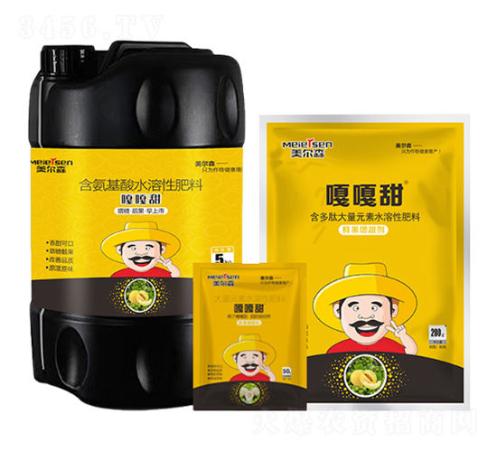 �ĸ���-����ɭ