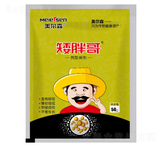 ���ָ�-����ɭ