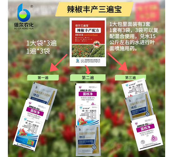 �����S�a���錚-�����r��