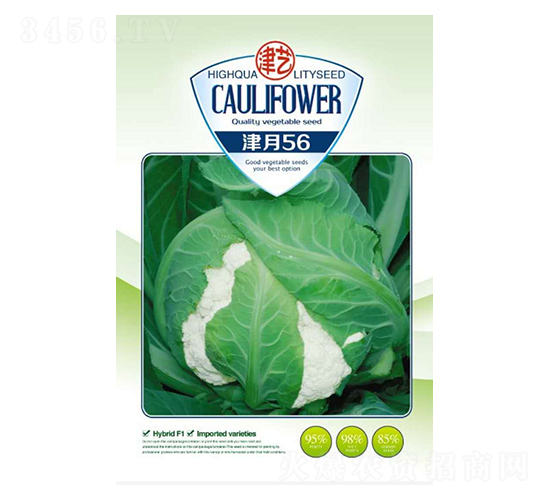 ���˷N��-����56-���S�r�I(y��)