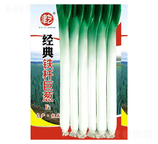 ���[�N��-��(j��ng)���F�U���[-���S�r(n��ng)�I(y��)