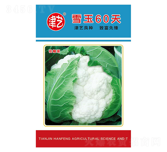 ���˷N��-ѩ��60��-���S�r(n��ng)�I(y��)