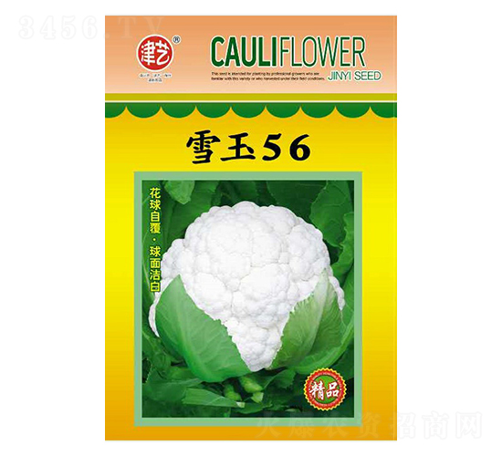 ���˷N��-ѩ��56-���S�r(n��ng)�I(y��)