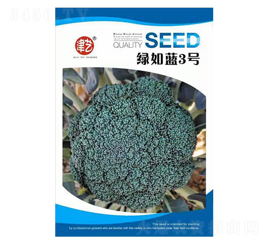 ���m���N��-�G���{3̖-���S�r�I(y��)