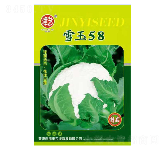 ���˷N��-ѩ��58-���S�r(n��ng)�I(y��)