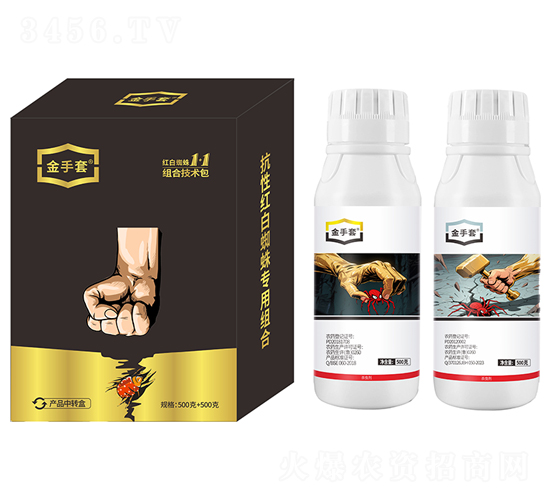 �t��֩��1+1�M�ϼ��g(sh��)��-������-��ԣ��