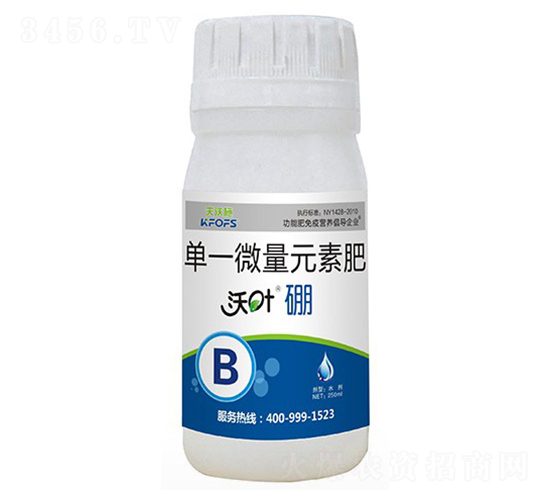 ���~���-����ʩ