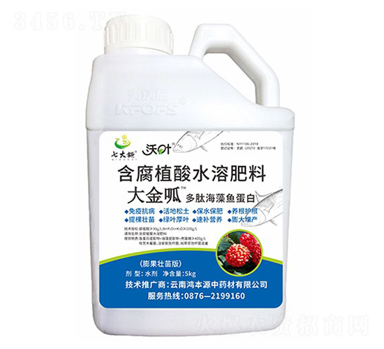 ���ĺ����~����-�����-����ʩ