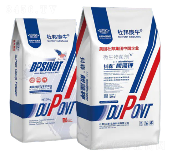 ΢�������-�n���-��ɭ-�Ű�